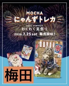 バラ売り可】 にゃんずトレカ 渋谷公園通り どきどきバレンタイン 2026