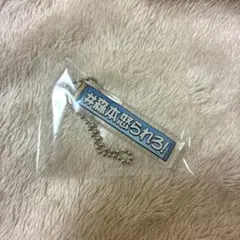 日向坂46 アクリルキーホルダー 森本茉莉　森本怒られろ　ひなあい　テロップ