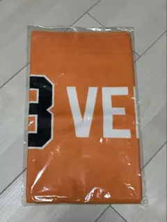 長嶋茂雄 タオル 追悼試合 限定