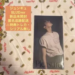 TREASURE PLEASURE アルバム ジュンギュ BLUEver