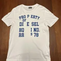 値下げ‼️DIESEL Tシャツ　白　XLのサムネイル