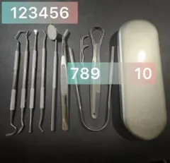 치석 제거 키트, 2-포인트 치석 제거 스케일러, 치과용 거울 치실