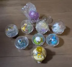 ポケモン テラリウム