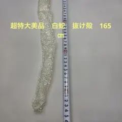 2026年最新】白蛇 抜け殻の人気アイテム - メルカリ