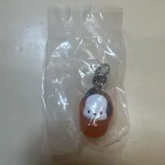 ポチャッコ めじるしアクセサリー はぴだんぶい ソロキャンプ サンリオ