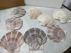 Item thumbnail for item bcd844a6-b478-4eee-a8ea-bcf0165011ab