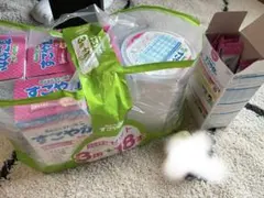 すこやかミルク セット