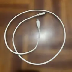 CENTURY USB Type-Cケーブル 240V ホワイト