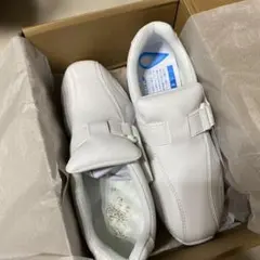 Item thumbnail for item fe4bcee3-77e2-4110-8a04-fd8bd1e6cfea