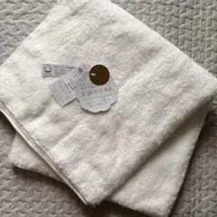 Item thumbnail for item 3ba1356f-61a8-425d-8b84-e193a73910be