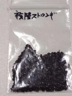 きろ様 リクエスト 3点 まとめ商品