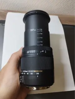 SIGMA 18-250mm F3.5-6.3 DC MACRO OS