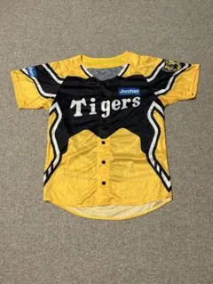 Item thumbnail for item 40aad68d-73cd-4afd-bf77-66e6f3397ce4