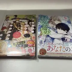 ある日、お姫様になってしまった件について 13 緑陰の冠　５