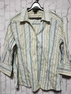 Eddie Bauer ストライプ柄長袖シャツ PETITE