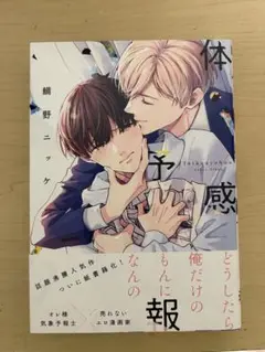 体感予報