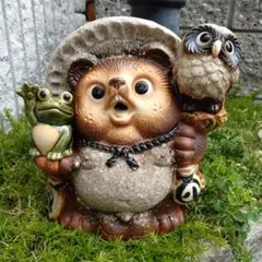信楽焼 9号ふくろう蛙付き 満願狸 たぬき タヌキ - メルカリ