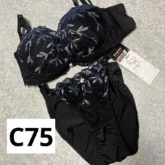 Item thumbnail for item 7ad9e2d6-1674-44e1-8b60-a6eeed359e7c