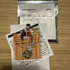 宇都宮ブレックス2025-26選手おすわりminiアクリルスタンド＃7小川敦也