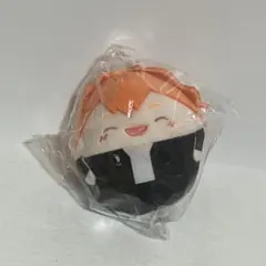 ハイキュー 日向翔陽 ふわコロりん