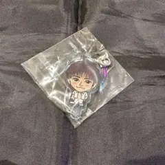 中島颯太　つながるアクリルチャーム　BUTTERFLY　ガチャ　ファンタ