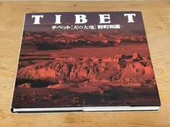 西藏〈天之大地〉寫真集 達賴喇嘛 山 信仰 野町和喜 岡仁波齊 海外 旅行