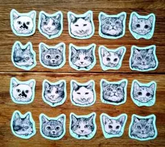 Item thumbnail for item 5c00296c-c608-4288-8def-304b92c597ad