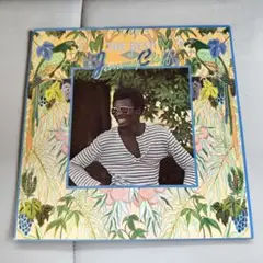 美品【レア】 ジミークリフ アナログ レコード ベスト盤