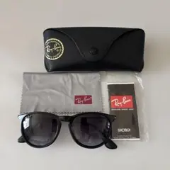 Ray-Ban RB4171 ERIKA 601/BG ブラック グラデーション