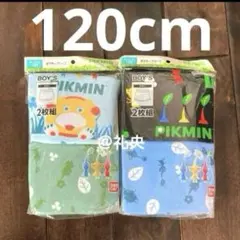 ピクミン PIKMIN ボクサーパンツ120 ボクサーブリーフ 男の子下着新品