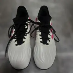 Item thumbnail for item 67e559fc-b156-481c-9c02-7efd5899abc1