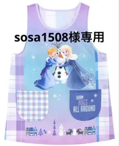 アナと雪の女王エプロン【パープル・ブルー】２枚