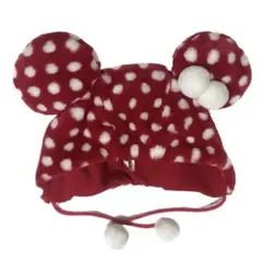 東京ディズニーリゾート ミニー 水玉 ドット ファンキャップ