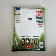 グンゼ　GUNZE 長袖U首　メンズ　Lサイズ　2枚組　白　長期自宅保管