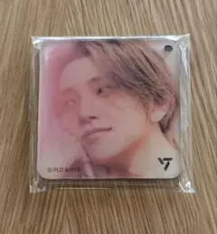 SEVENTEEN アーティストチョコ マグネット ジョシュア セブチ グッズ