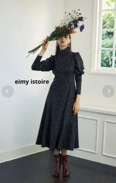 eimyistoire ES horsepatternシアーコンビミニワンピース - メルカリ