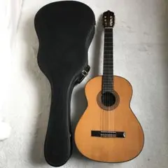 2026年最新】SHINANO GUITARの人気アイテム - メルカリ