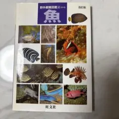 魚