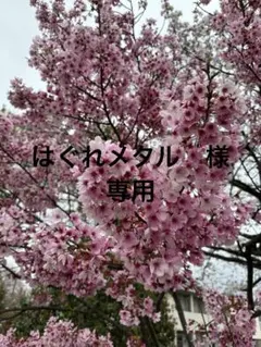 はぐれメタル　様　専用