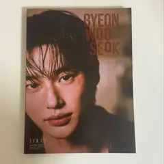 ビョンウソク 변우석 ファースト オフィシャル 写真集 1冊 レア Amazon.co.jp: ピョンウソク 1st写真集 : おもちゃ