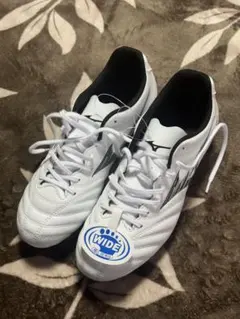 Item thumbnail for item 77252f7d-1216-4d4a-8a3f-1e547556f85d