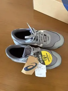 Item thumbnail for item 41008e9e-faf5-42de-968a-4064e6ddb947