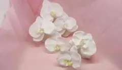 胡蝶蘭　髪飾り　5輪セット