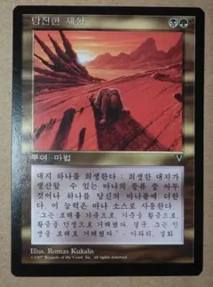 MTG 資源の浪費 日本語 VI版 1枚 - メルカリ