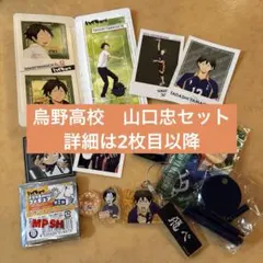 ハイキュー‼︎ 山口忠　いろいろセット
