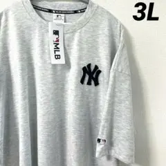 MLB ニューヨーク・ヤンキース　Tシャツ サガラ刺繍　半袖　オートミール　3L