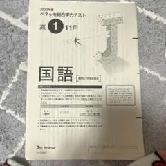 2026年最新】ベネッセ総合学力テスト高1の人気アイテム - メルカリ