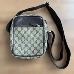 未使用級✨GUCCI GG総柄 ショルダーバッグ PVCレザー 金具ロゴ - メルカリ