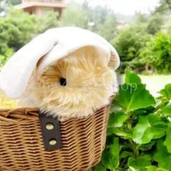 白井様 リクエスト 2点 まとめ商品