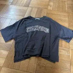 Item thumbnail for item a7931f15-81e9-4f89-976f-2e07b6f4281a